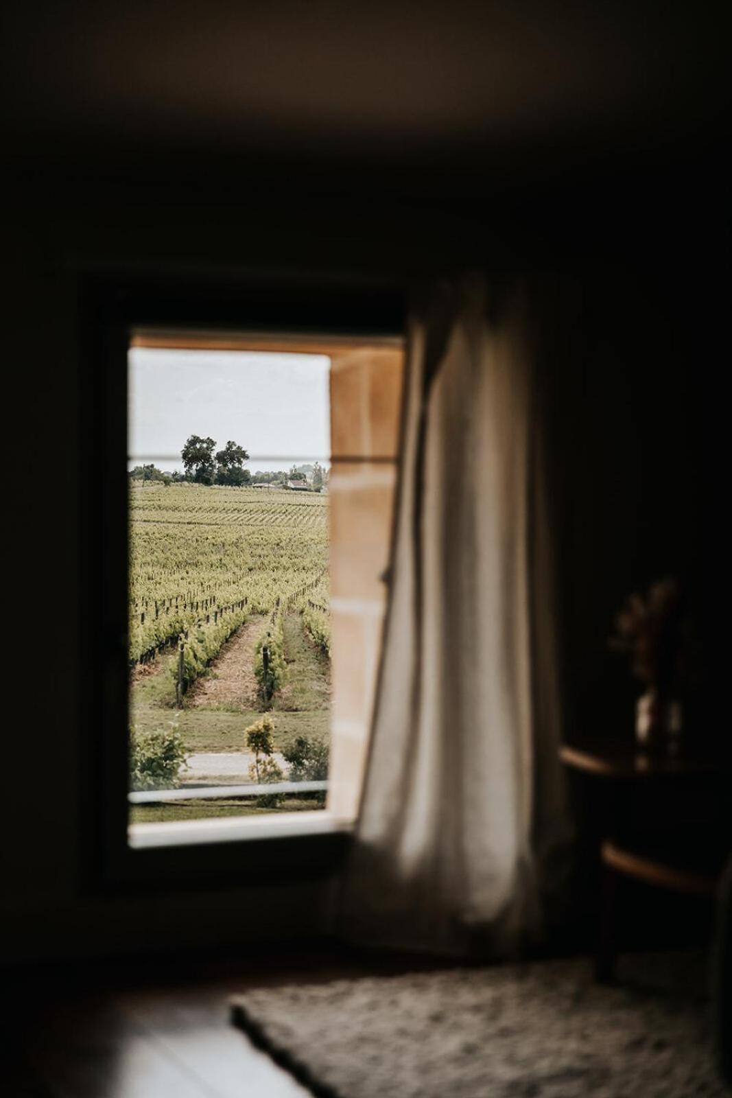 Chateau La Grande Clotte Lussac  Δωμάτιο φωτογραφία